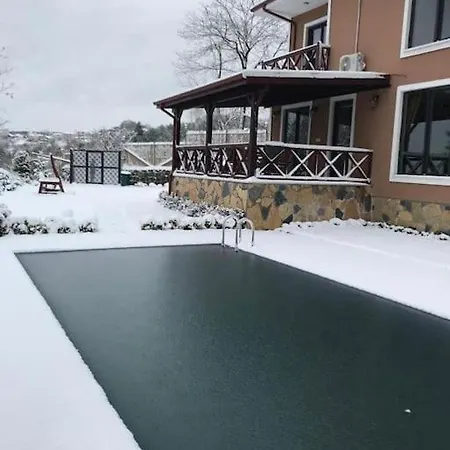 Sapanca Seyrusefa Villa