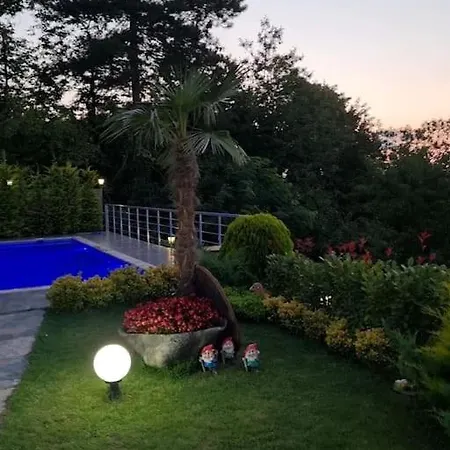 Sapanca Seyrusefa Villa *
