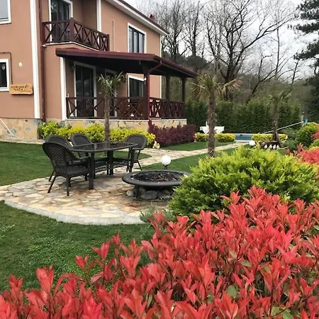 Sapanca Seyrusefa Villa *